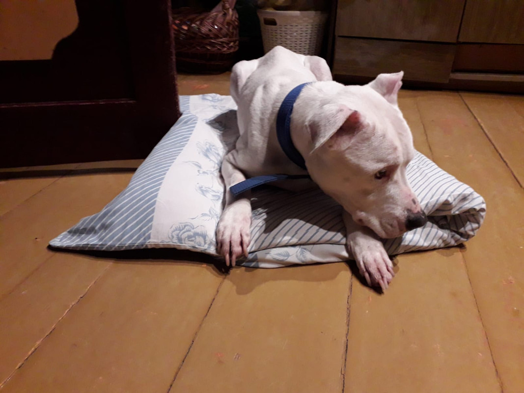 8E3770BD-4017-4DA5-9EA9-BD41B5D176B2