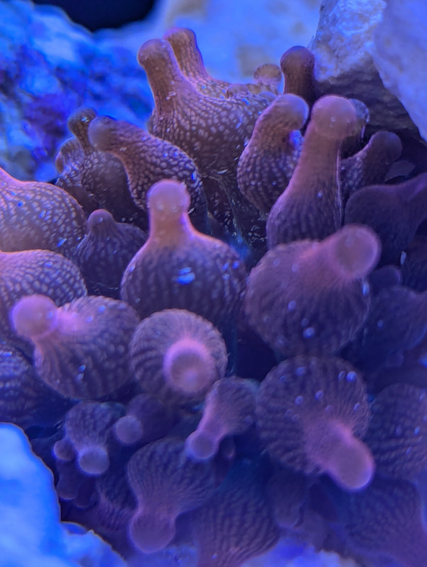 PXL 20251122 193203684