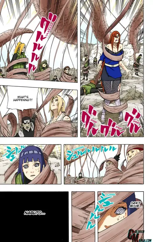 12374561 760 1200 187878