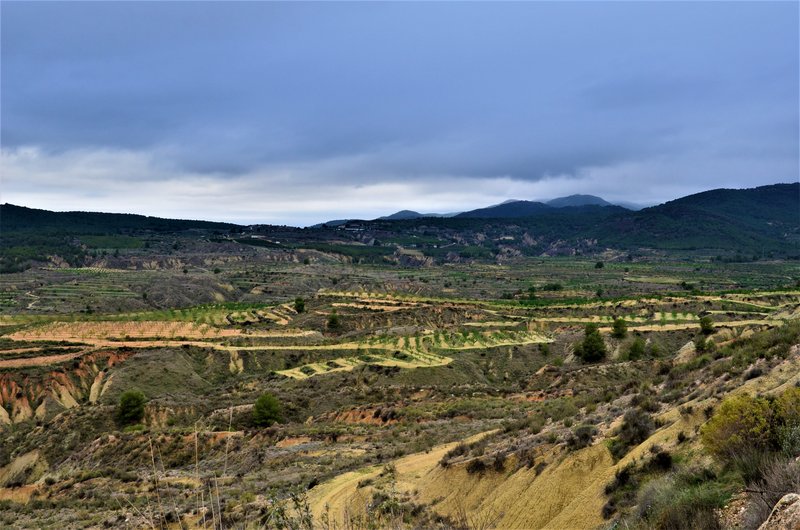 BARRANCO DE GEBAS-8-11-2012-MURCIA - Paseando por España-1991/2024 (16)