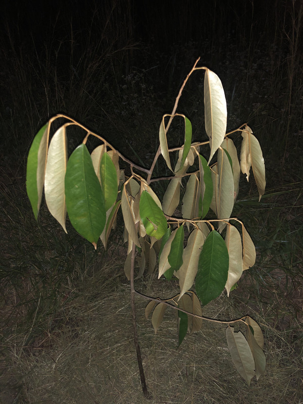 3F031D99-49A4-4DA9-BA36-69261F485DF1