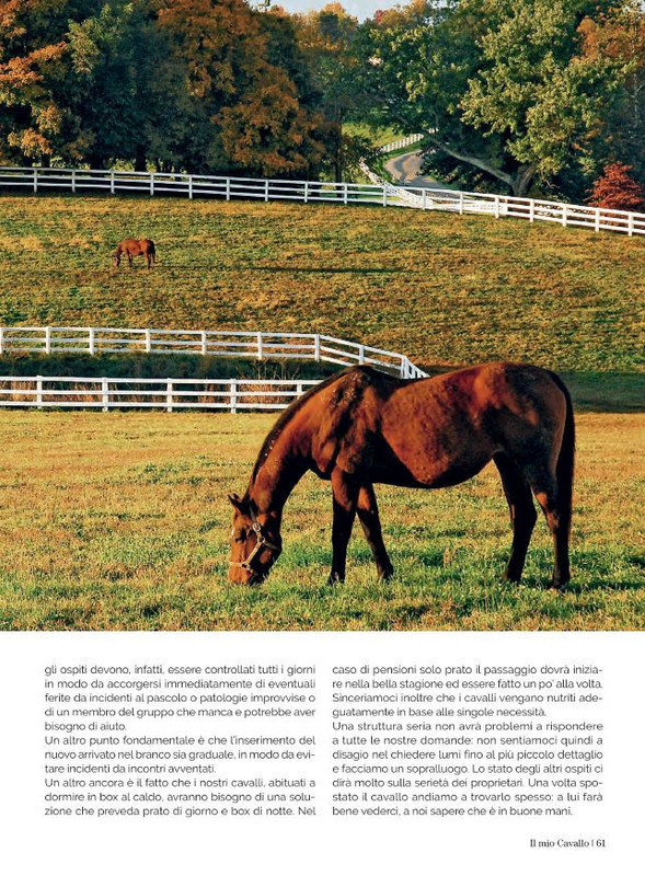 Il Mio Cav (Ott 2022) (8)