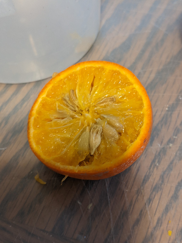 PXL_20220228_150150796