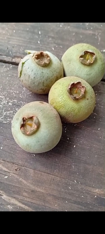 Whats App Image 2025 12 31 at 11 53 35 AM