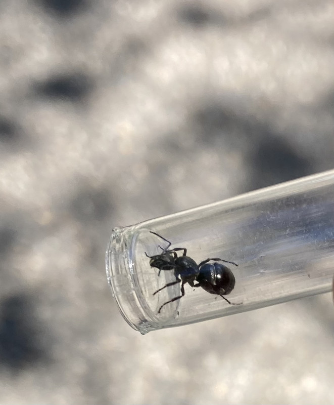 3CAB4DA3-795D-433E-9002-0A0AD5C8E99C