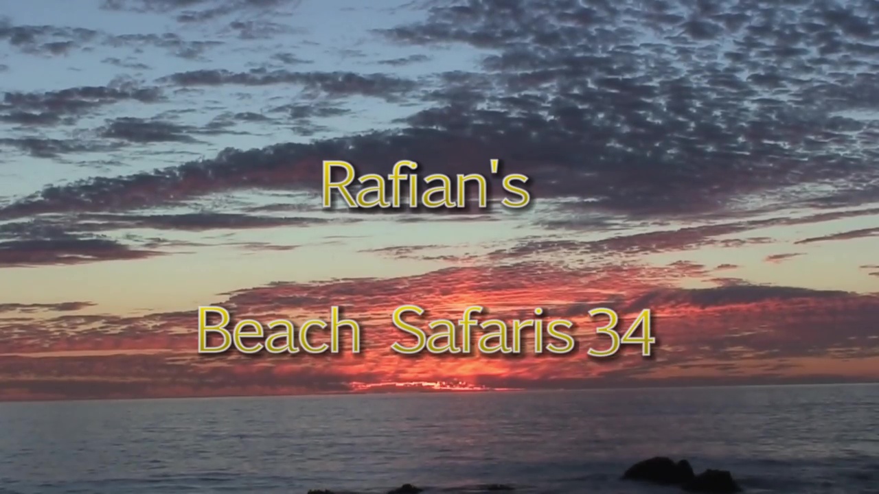 Rafian's Beach Safaris 34HD