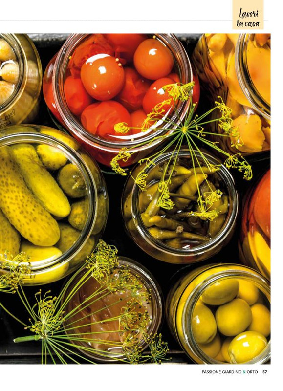 Pass Giar e Orto Ago 2025 (6)