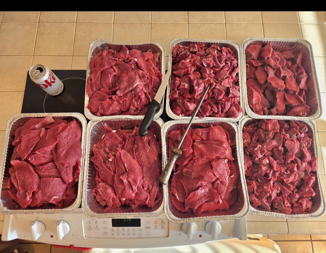 Screenshot 20260203 194921 Gallery