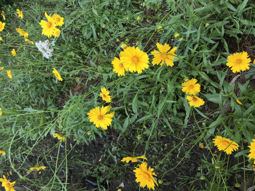 E2DA1ECC-EC3D-478F-81B7-D5E9DFD84236