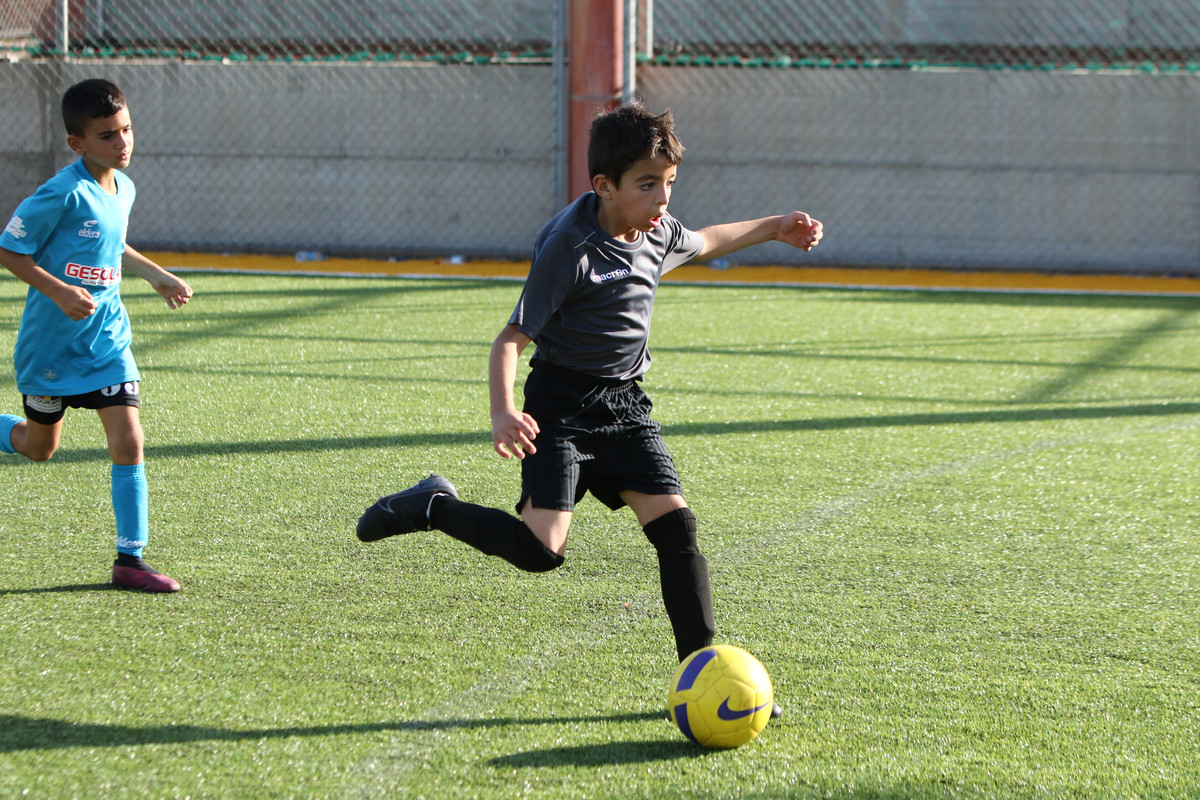 VIK_0534