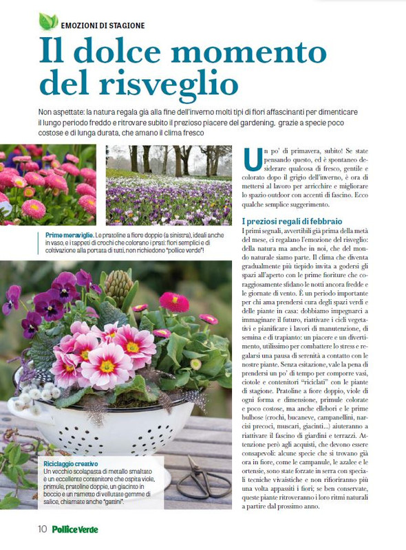 Pol Ver Feb 2024 (1)