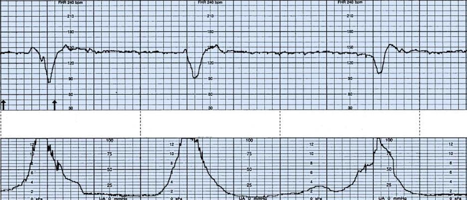 Obstetrics question 8 image