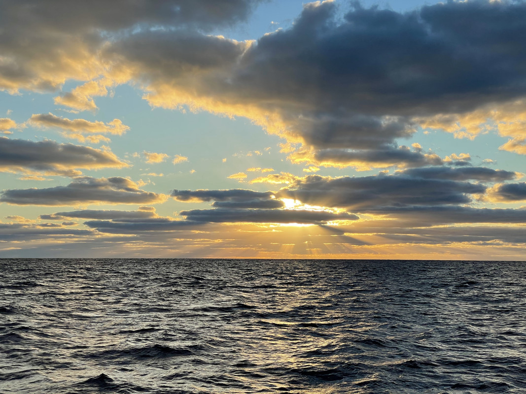 4BAEF542-CD36-40FC-81D9-7E980D7CDC04