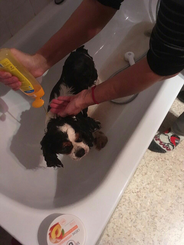 301722CB-72DB-4299-9C37-E801B28E7EBB