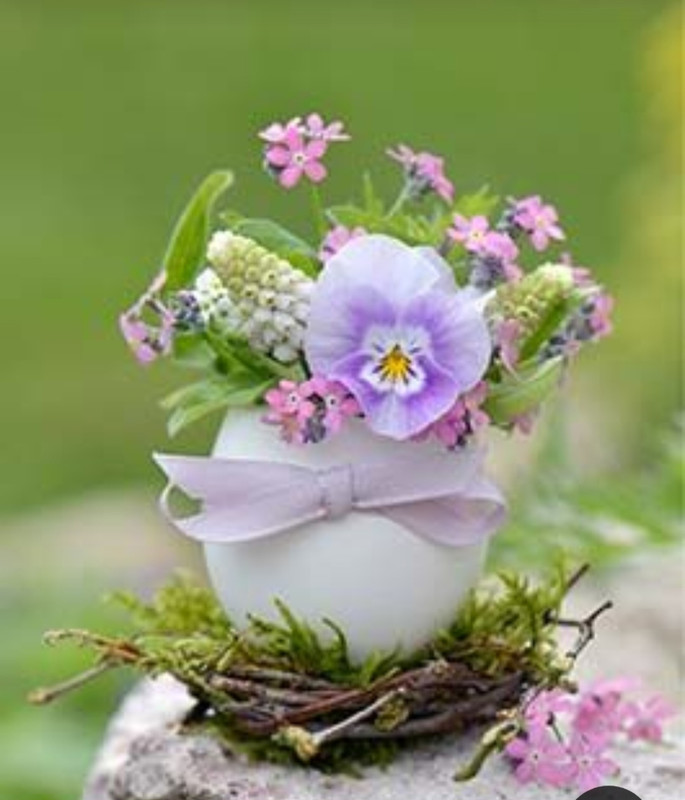 Screenshot_20230416_005220_Pinterest