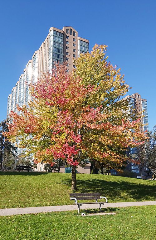 [Image: 20211027-142900.jpg]