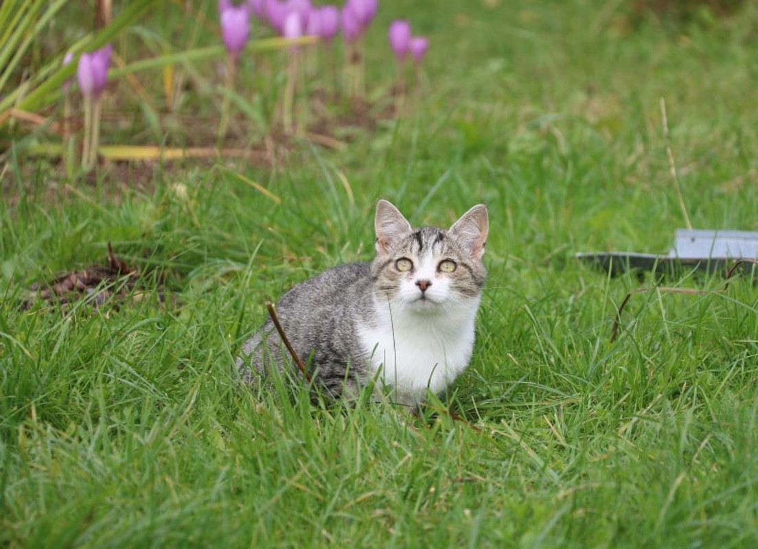 imgonline-com-ua-Resize-fjBWb239Cp5b8VO1