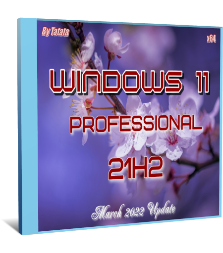 Windows 11 Professional 22000.593 by Tatata (x64) (2022) (Rus)