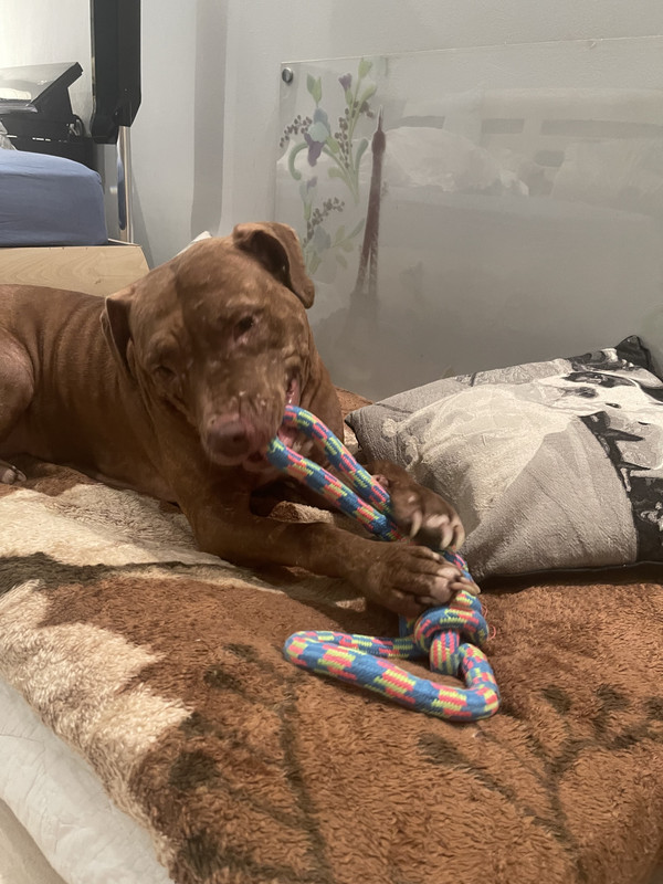 D1096C4D-D4FB-4ED2-A82C-6A3A6D8F0604