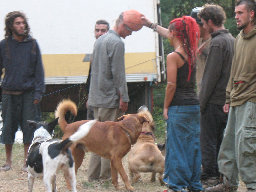 BulgariaTek After Party 2011 (122)