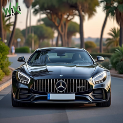 alquileres-coches-marbella-1776651304503.png