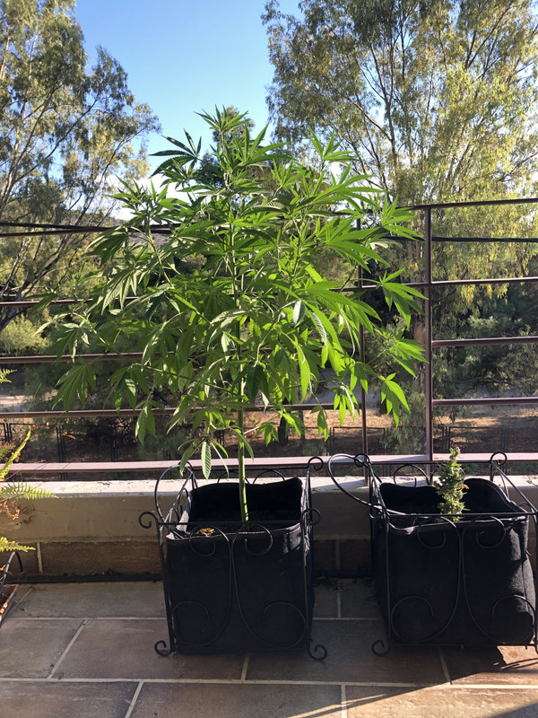 1AC53D7D-073E-411E-B821-FF449DAD67CD