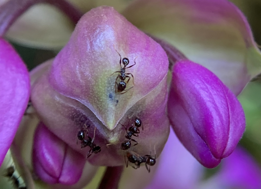 018A3A86-1E85-4CB4-9D5F-B8E050FB717F