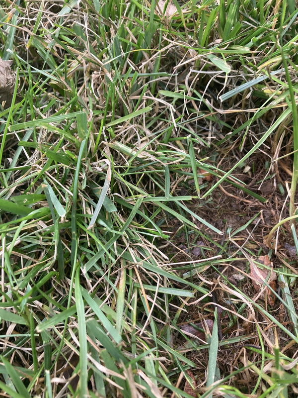 E62375B8-36B5-4860-BEC3-52A37F6094C7