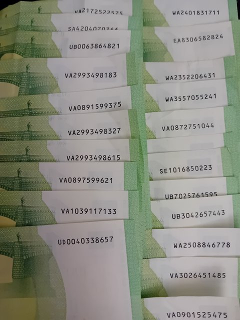 Paveikslėlis