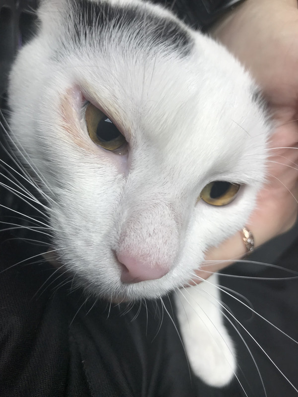 перед операцией2