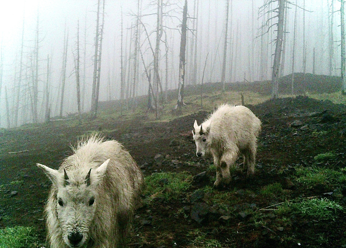 6B81257A-AAD1-4D75-A63E-EC38383030A5