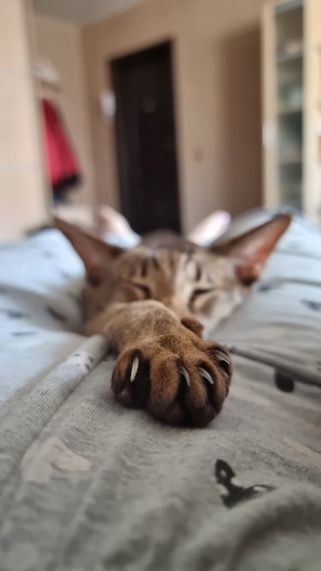 TofwaaDujUI3XVSri21ArmuGOJjYnmF1XQlcHqV_bbL1vRFwxm4VSVj2Ptc3MhQKcI7lSTm80bBp93C6kmb21dq4