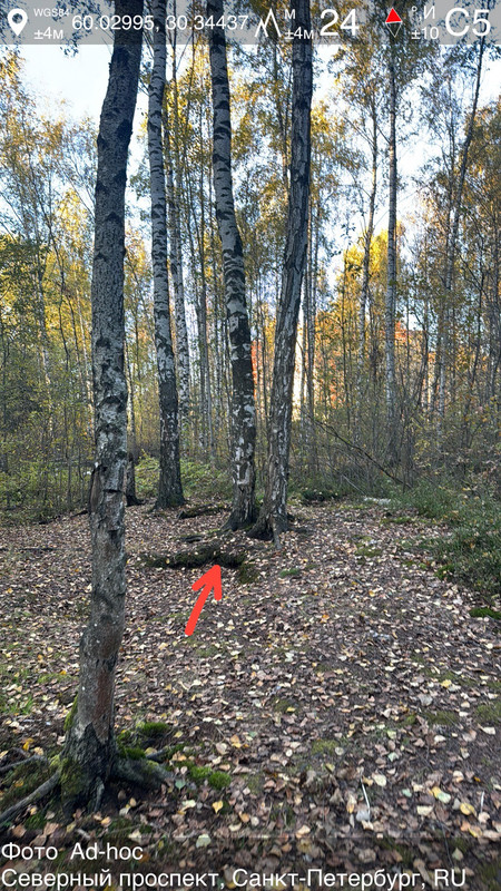 dedfc6643fcc5e405b9a45c8af929371