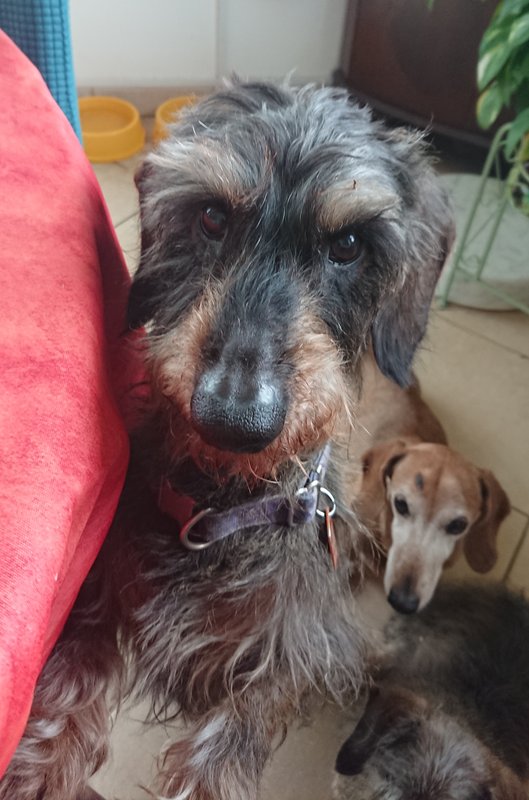 [Image: 20240220-190358.jpg]