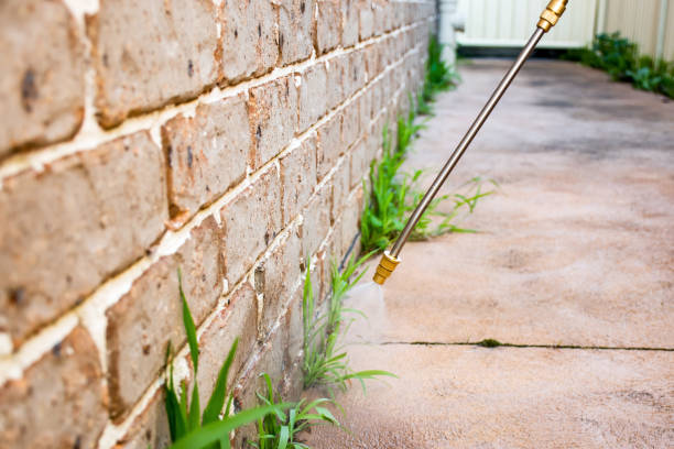 Pest Control Orlando