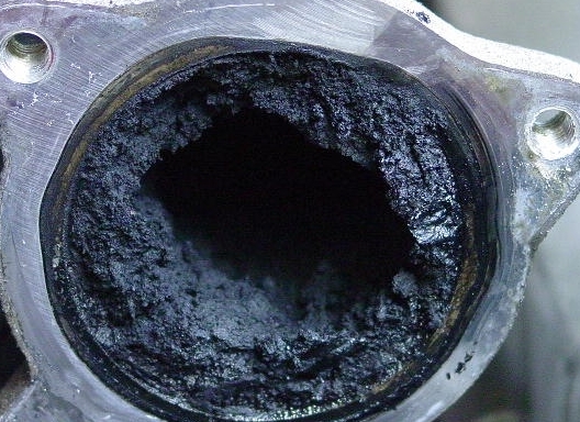EGR1