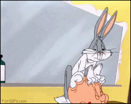 giphy-1.gif