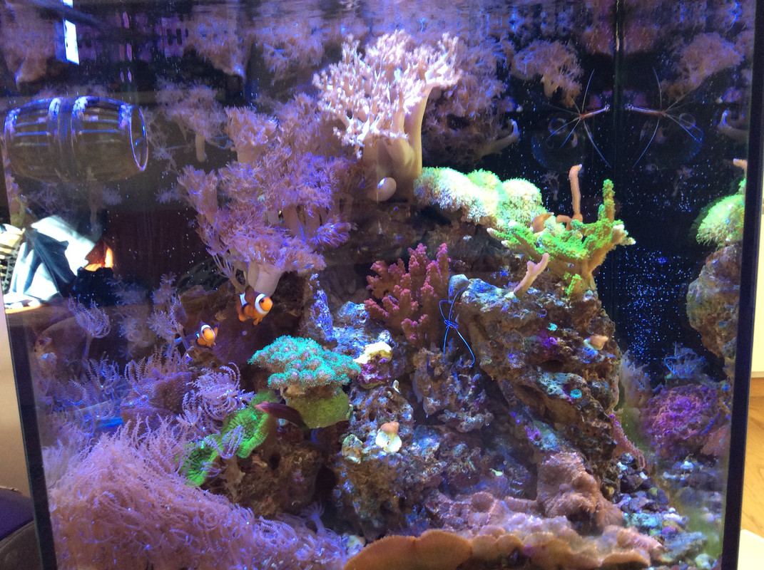 1B3F5A94-4346-408C-8B47-641E8B9635C3