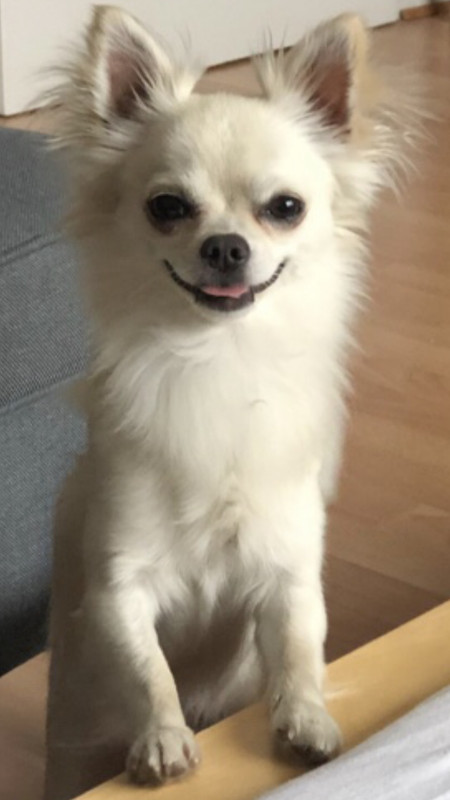 96AC9EDA-CB1E-40A9-8B81-904B47908034