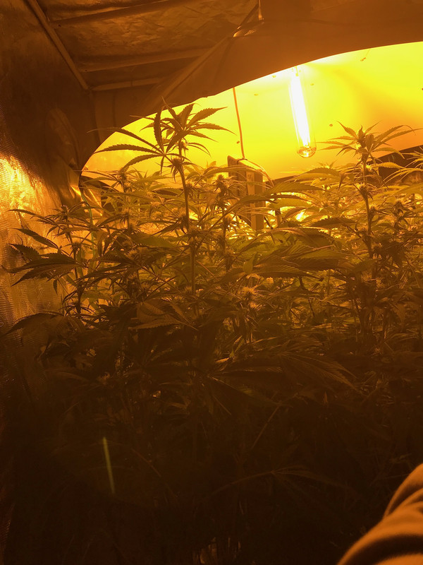 2A9BEB2B-EE47-4B58-B729-53DEB7F80E17