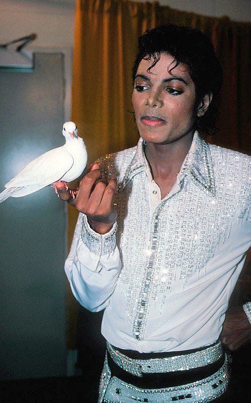 random-pictures-of-mj-taken-around-the-time-of-his-last-two-v0-fnwy41e1nktc1.jpg