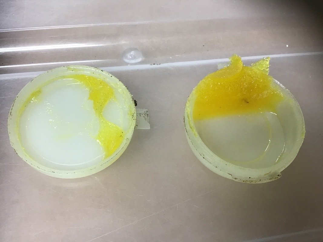 824A4AC2-6244-4AD8-A3E9-5A17A61B671F