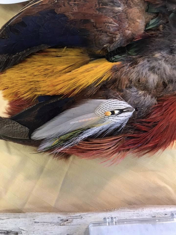 C23EA7D7-4F44-4953-971F-8610147BB4E1_1_105_c