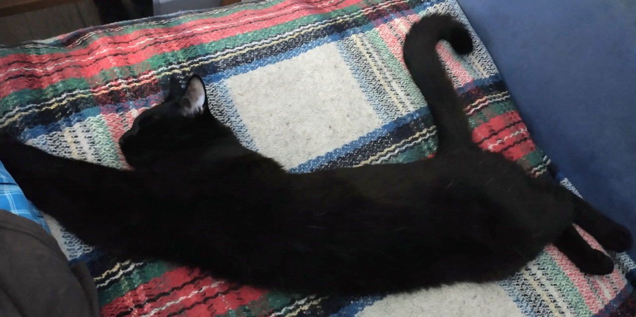 IMG_20250721_161840166_HDR~2