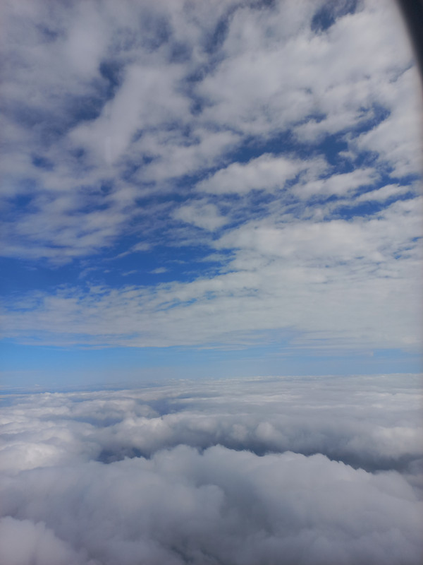 20230729-110235.jpg