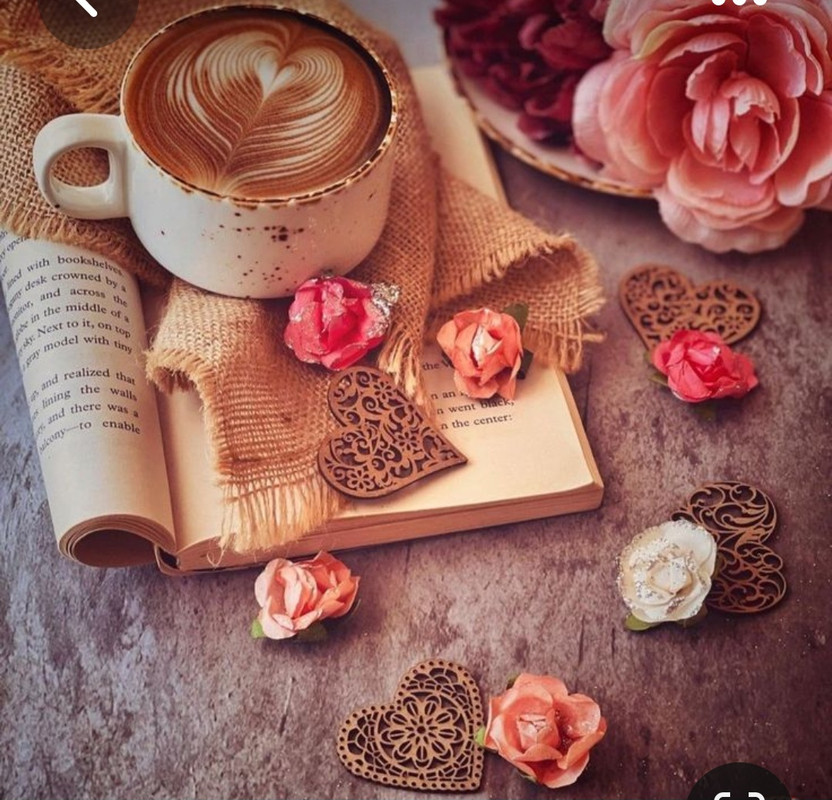 Screenshot_20230316_183543_Pinterest