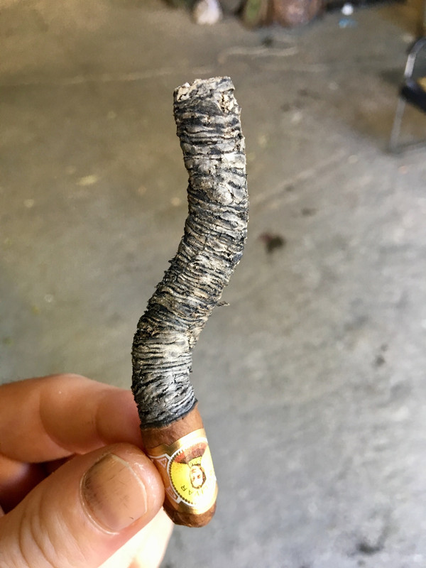 542FD2E2-BC1E-4464-9FA7-6C6A038E450E