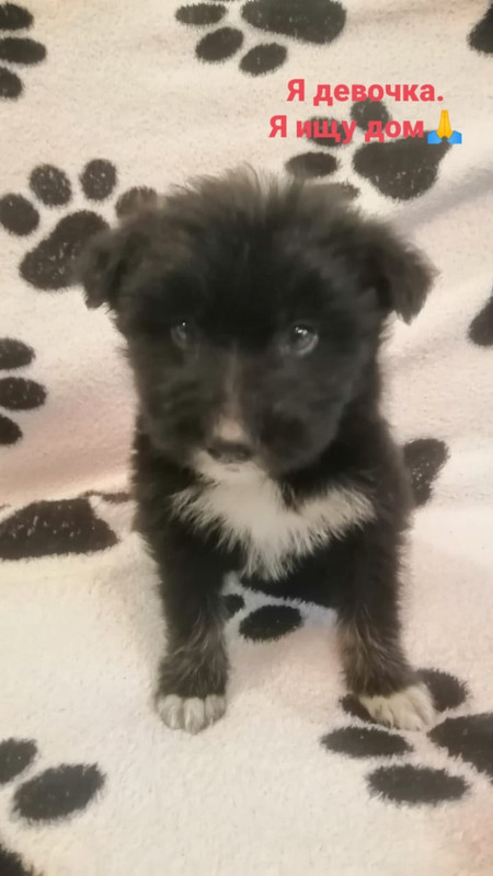 BACCCCB0-0BE5-42BF-A81B-1BB297377D53