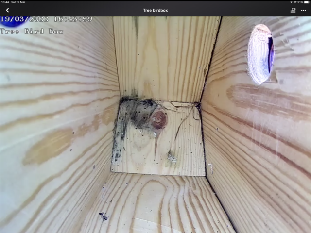 BFB4797E-A82A-4427-8F62-0D8CDA782129