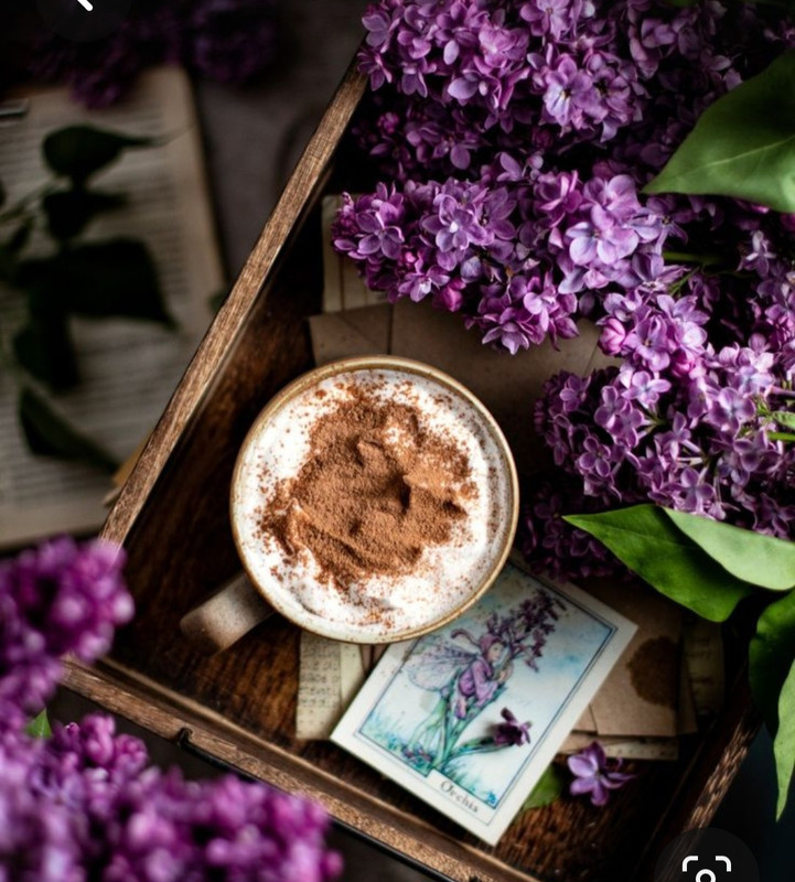 Screenshot_20230819_230218_Pinterest